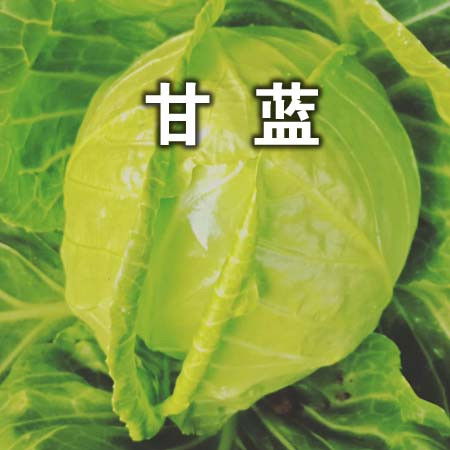 绿色无公害蔬菜精品礼盒 5斤装包邮 疫情期间同城配送仅限营口 站前区 西市区